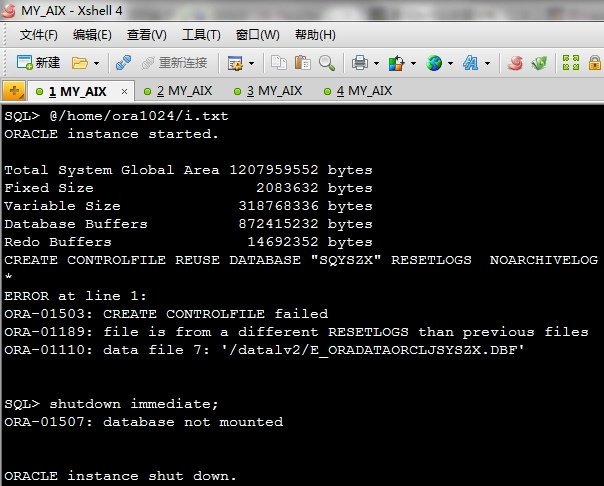 AIX小型机Oracle数据库恢复案例-图片6